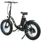 Dolphin portable and folding fat bike