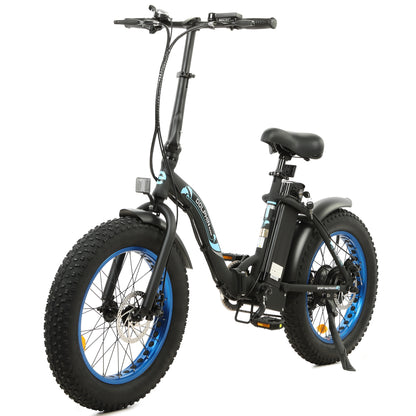 Dolphin portable and folding fat bike