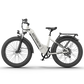 52V All-terrain Electric Bike Queen