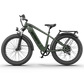 52V All-terrain Electric Bike King