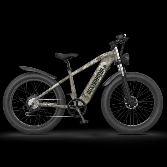 Off-road Electric Bike Hero