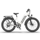 52V All-terrain Electric Bike Queen