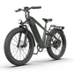 52V All-terrain Electric Bike King