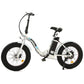 Dolphin portable and folding fat bike