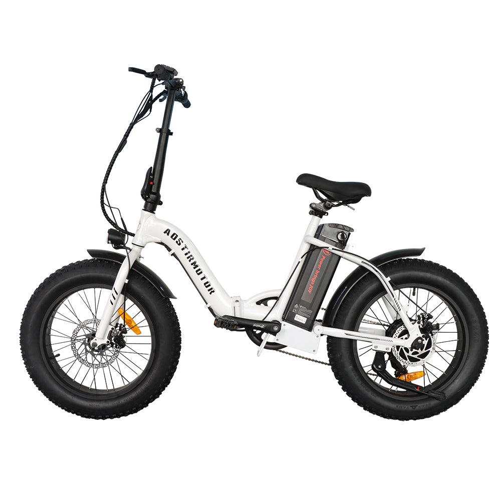 500W Low Step Fat Tire G20