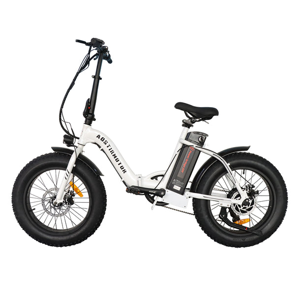 500W Low Step Fat Tire G20