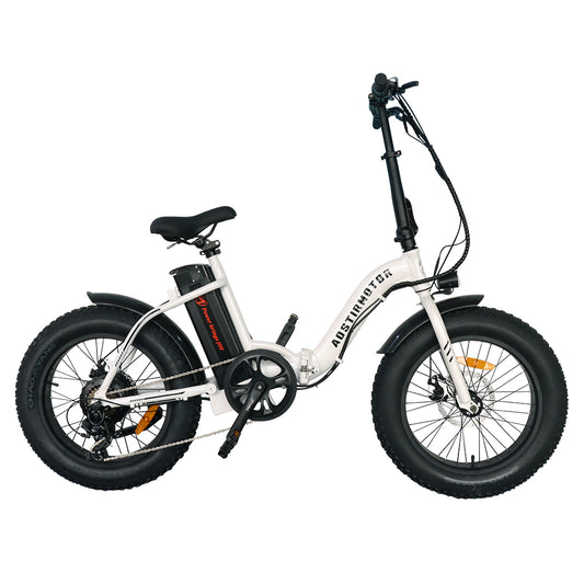 500W Low Step Fat Tire G20