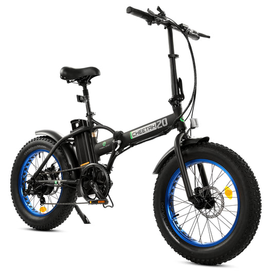 Fat Tire Folding Electric Bike 36V