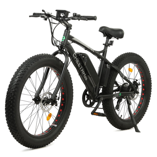 Cheetah Electric Bike