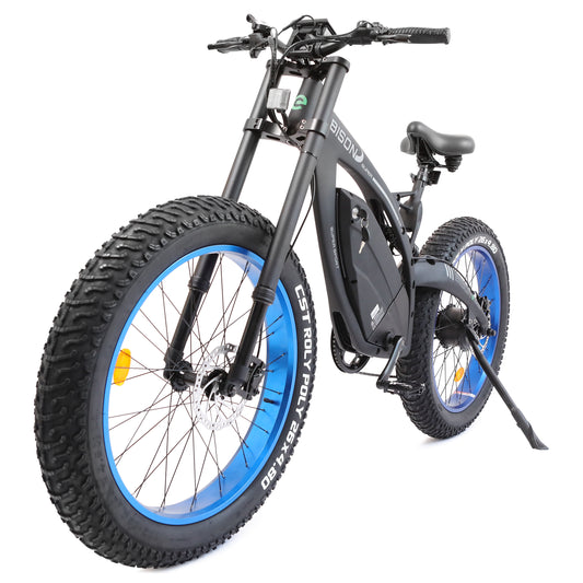 Bison-Matt Black Electric Bike