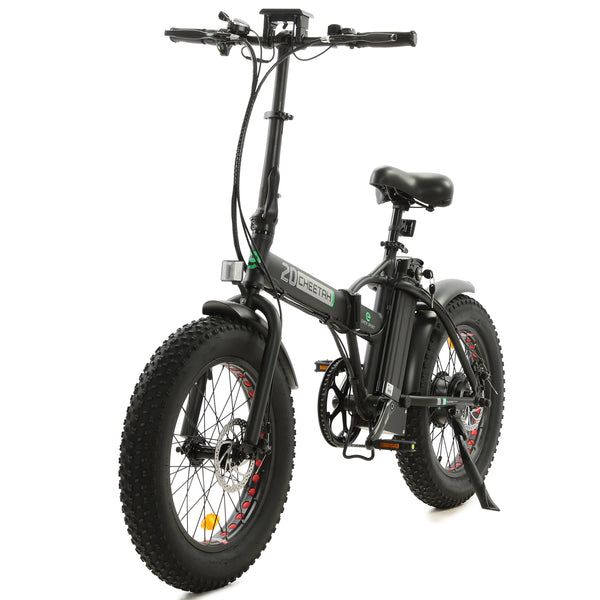 Fat Tire Folding Electric Bike 48V (Old)