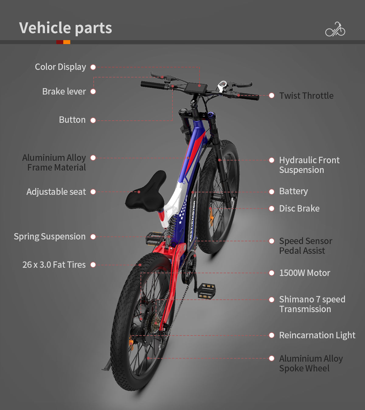 Big Front Fork S17 Electric Bike